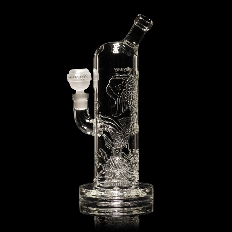 koi-carp-clear-water-pipe-milkyway-x